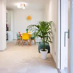 Sforza26 Design *